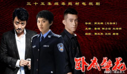 卧底警花电视剧,潜入黑暗，守护光明