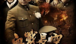 血战电视剧,烽火岁月里的英雄传奇