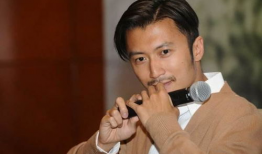 谢霆锋电视剧全集,激情燃烧的岁月，演绎人生百态